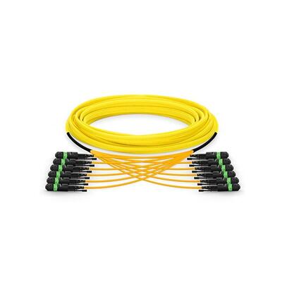 144F MPO MTP Trunk-Kabel, robust für Hochleistungs-Rechenzentrums-Backbones