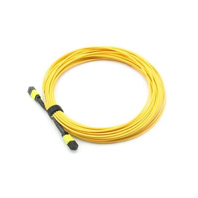 24F MTP-MTP Trunk Cable
